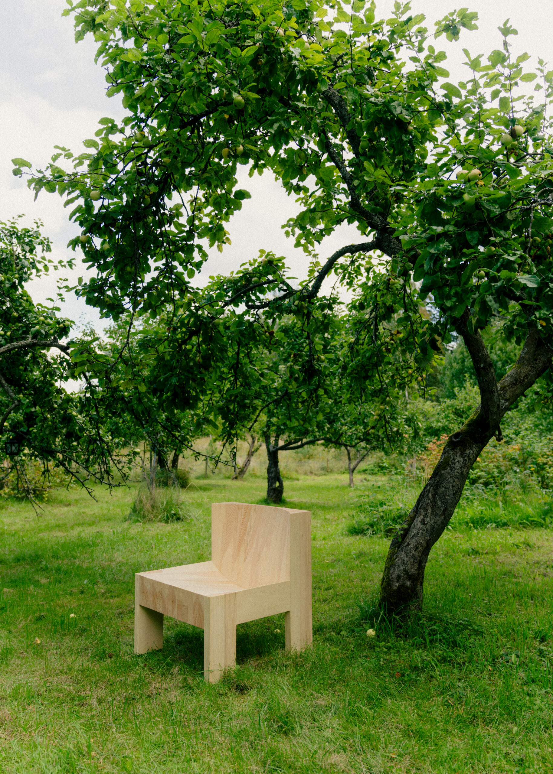 Vaarnii 005 lounge chair - Image 7