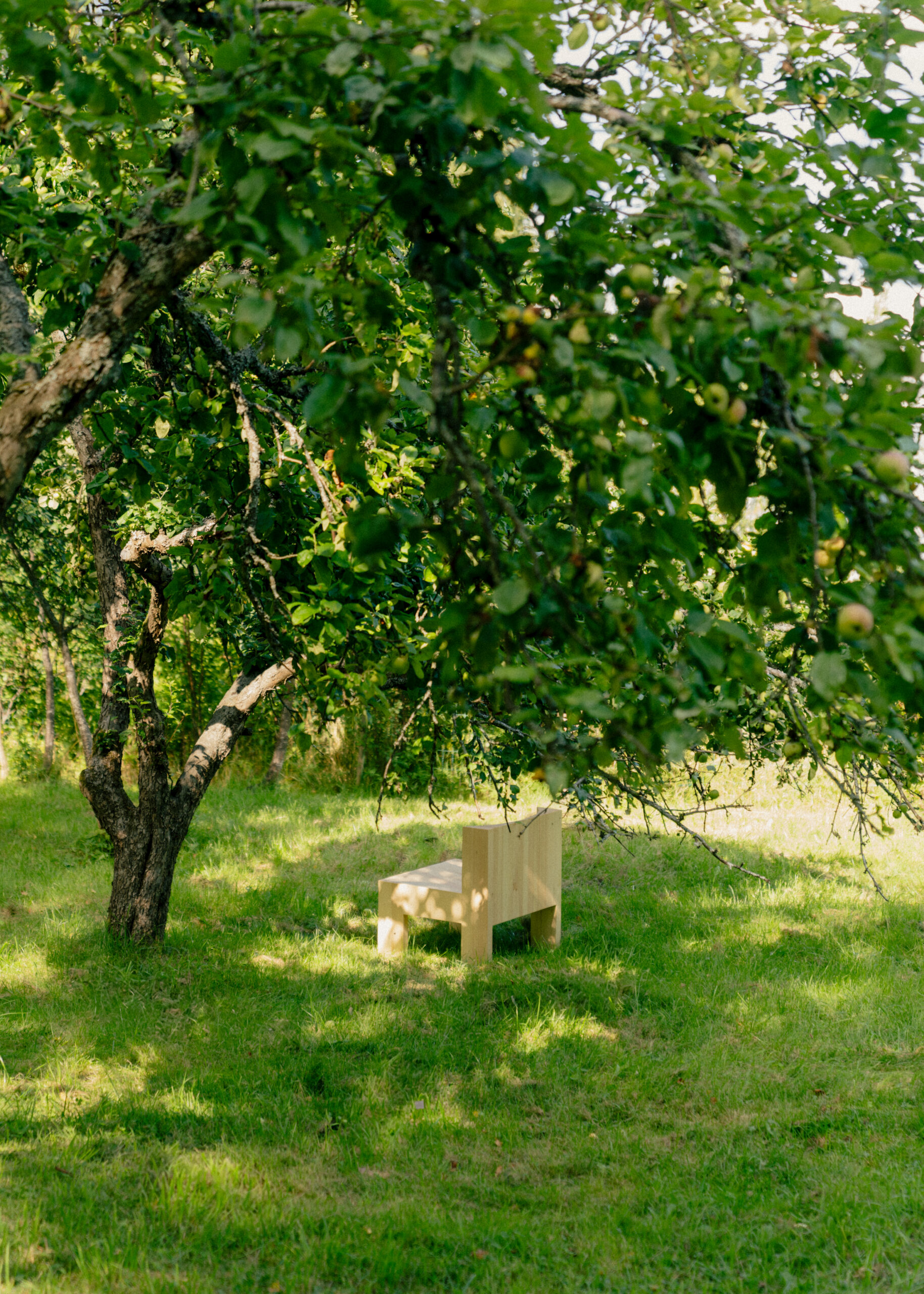 Vaarnii 005 lounge chair - Image 5