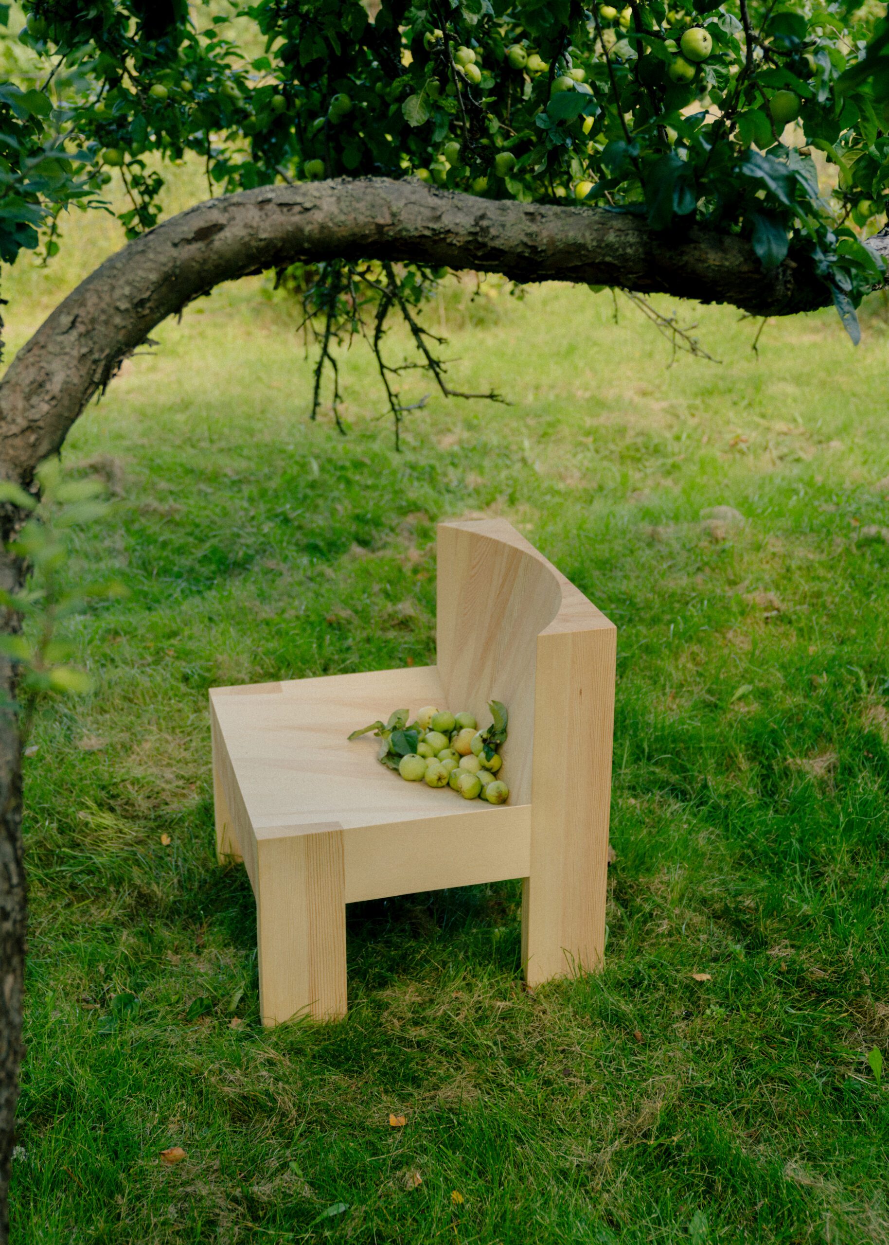 Vaarnii 005 lounge chair - Image 4